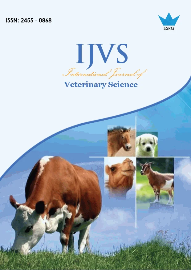 book-ijvs.webp